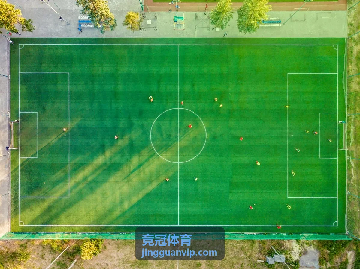 竞冠体育运动员证言